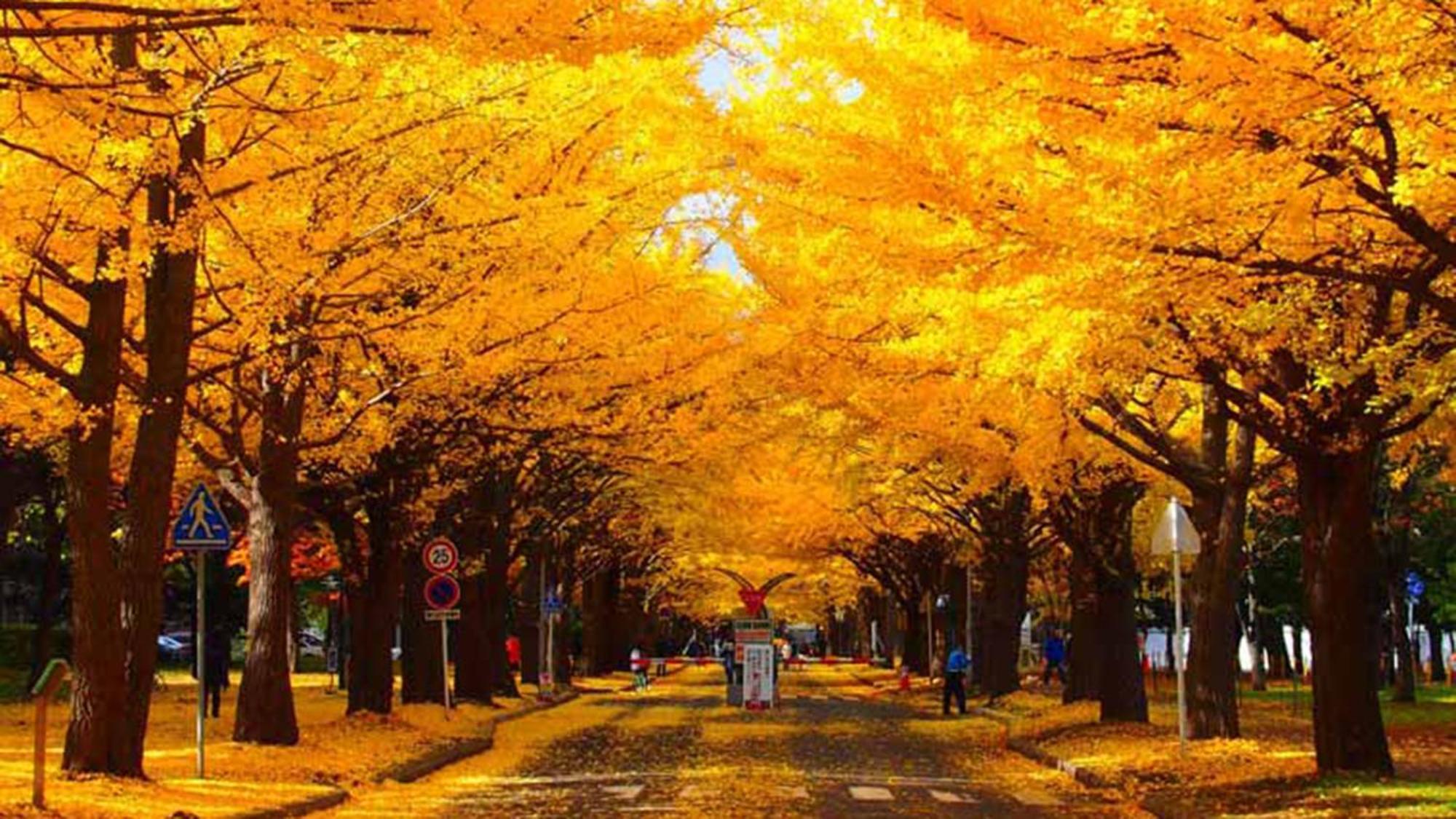 Toyoko Inn Hokkaido Sapporo-Eki Nishi-Guchi Hokudai Mae Εξωτερικό φωτογραφία